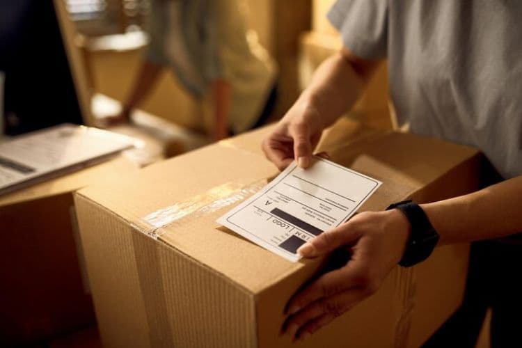 Mengenal Impor: Definisi, Manfaat, dan Ragam Jenisnya